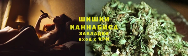 ПСИЛОЦИБИНОВЫЕ ГРИБЫ Осинники
