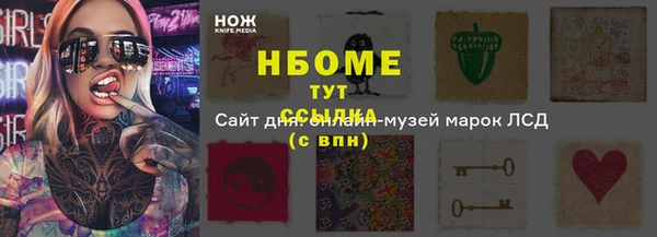 ПСИЛОЦИБИНОВЫЕ ГРИБЫ Осинники
