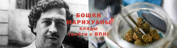 ПСИЛОЦИБИНОВЫЕ ГРИБЫ Осинники
