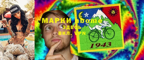 ПСИЛОЦИБИНОВЫЕ ГРИБЫ Осинники