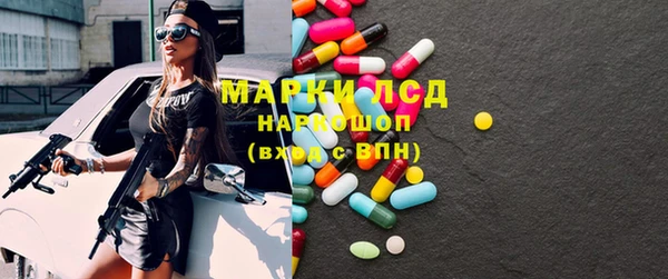 ПСИЛОЦИБИНОВЫЕ ГРИБЫ Осинники