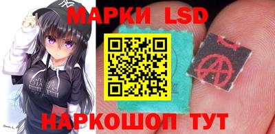 прущие крисы Бийск