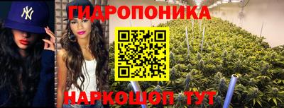 apvp Волжский