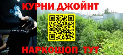 прущие крисы Бийск