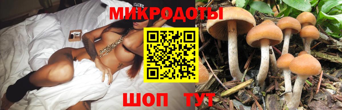 закладки  Псилоцибиновые грибы Psilocybine cubensis  Вход с VPN  Кондопога 