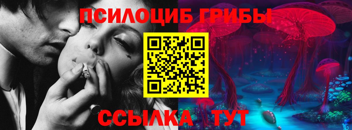 Галлюциногенные грибы Magic Shrooms Кондопога